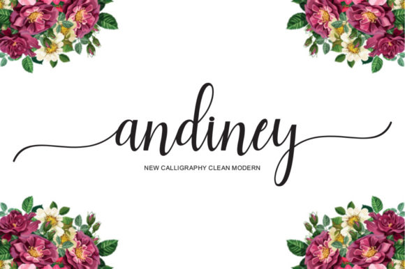 Andiney Script: A Modern Typeface for Web Design