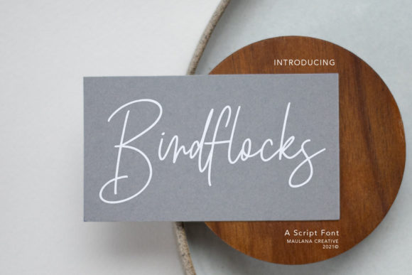 Birdflocks Script: A Modern Typeface for Digital Design