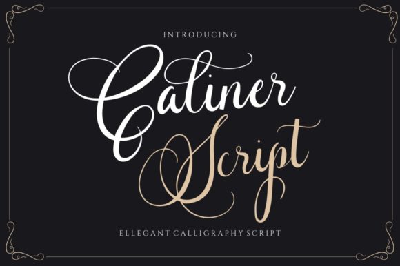 Caliner Script: A Web Designer’s Review