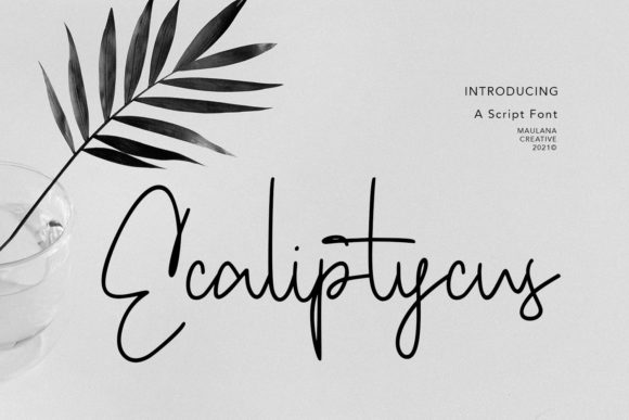 Ecaliptycus Script: A Refined Handwritten Typeface