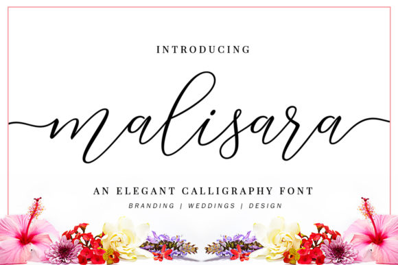 Malisara Script: A Review of This Elegant Handwritten Typeface