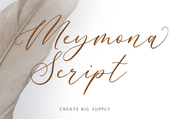 Meymona Script: A Premium Font for Campaigns