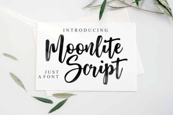 Moonlite Script: The Perfect Font for Fashion Campaigns